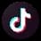 social-tiktok.webp